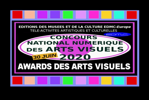 CONCOURS NATIONAL<br/>NUMÉRIQUE DES ARTS VISUELS 2020
