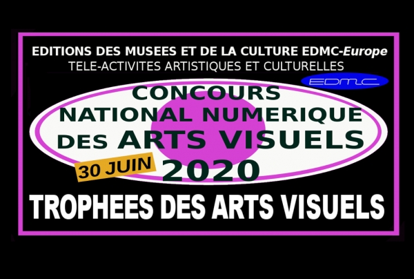 Concours national numérique des Arts visuels 30/06/2020