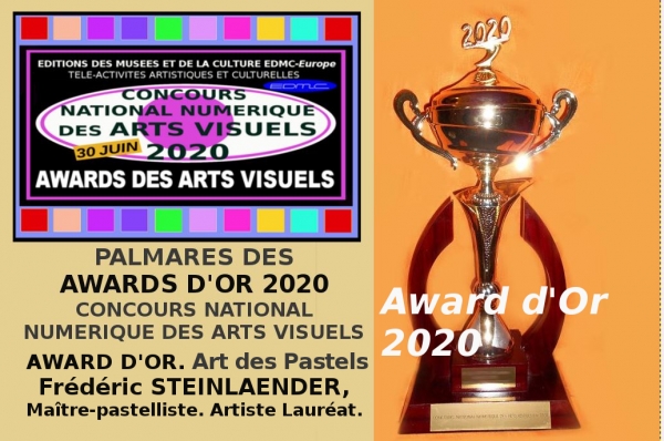 Frédéric Steinlaender, Award d'Or des Arts Visuels 2020 lors du Concours National Numérique des Arts Visuels 30 Juin 2020  