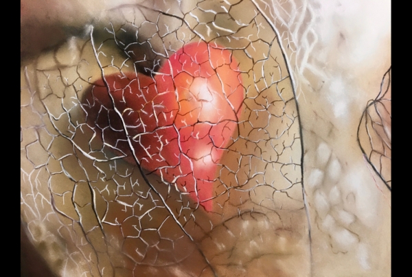 “L'Amour en Cage” (40x50cm) pastel sec sur pastel mat, de Françoise PATRIGEON, artiste peintre pastelliste. Une véritable démonstration de talent avec cette œuvre florale de concours réunissant haut savoir technique et émotion artistique si allégorique