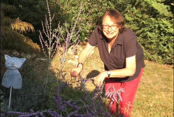 A l'issue des sélections nationales d’Été le Comité du Jury a distingué l'artiste peintre pastelliste Françoise PATRIGEON pour l'ensemble de son OEuvre, lui octroyant la Plaquette d'Honneur avec Médaille Talent des Arts d'Aujourd'hui Artiste d'Excellence