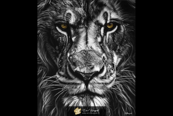 'Regard'', Pastel sec (50x60cm) œuvre sur papier Canson Mi-teinte Velvet, d' Eric HEUGUET, artiste peintre, pastelliste. L'artiste a créé une œuvre archétype et iconique du regard de l'animal. Peintre de  la communication et du lien entre homme et animal.
