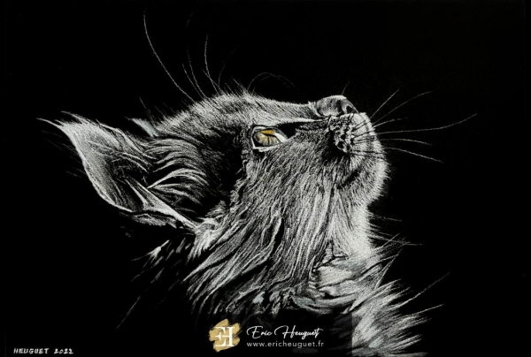  ''Chat regardant son maître'', Pastel sec, (29,7x42 cm) sur papier Canson Mi-teinte Touch d' Eric HEUGUET, artiste peintre. Le pastel de cet artiste témoigne un savoir esthétique maîtrisé jusqu'aux ultimes confins de la délicatesse picturale.        