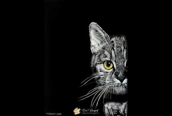     ''Chat regardant par la fenêtre'', Pastel sec (24x32 cm) sur papier Canson Mi-teinte Touch. Eric HEUGUET, pastelliste. Pour cet artiste, peindre le monde animalier, c'est peindre la vie, transmettre aussi des messages d'amour, de fidélité et d'amitié.