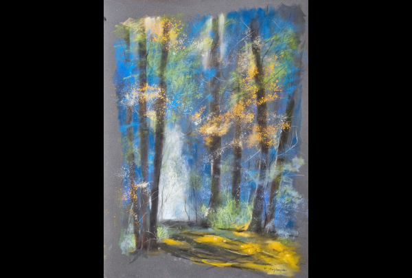 ''Promenade en Forêt'' 50x70cm. Pastel sur Pastelmat empli de spiritualité comme un souffle de nature jusque sous nos yeux. STEINLAENDER a réussi par l'art du pastel à dénouer les fils cachés de la Nature, il en dévoile les mystères 