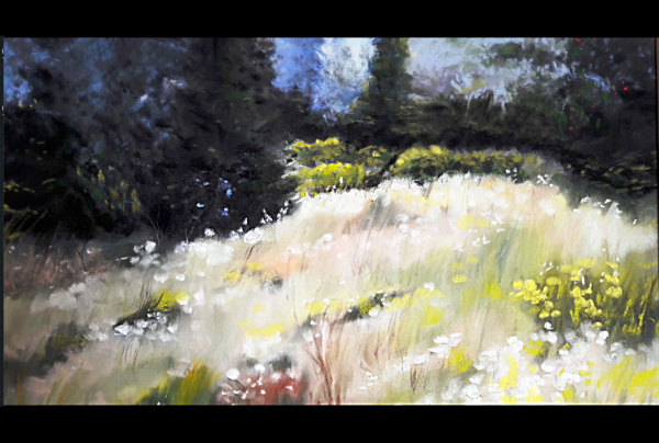 ''Coin de Prairie'' 30 x 40 cm, pastel de Christian CLESS. Une immersion en pleine nature. Le paysage impressionniste de l'artiste sépare et marie à la fois le clair et le sombre, sa lumière éblouissante, fascinante nous aimante au premier plan.    