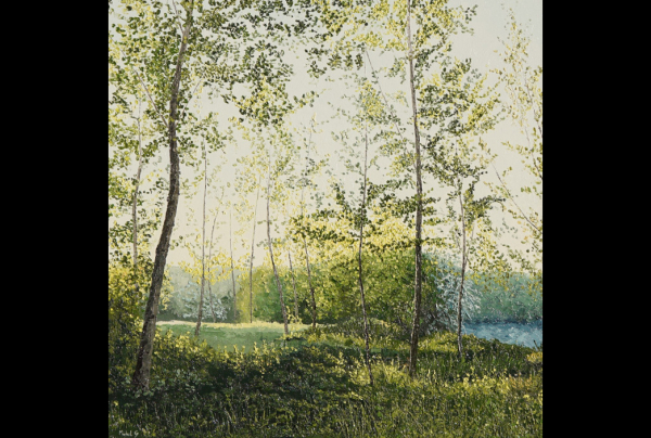 ''En Vert et Jaune'' (marais de Querrieu) 50x50cm, huile (au couteau) sur toile de lin. Aux formes élégantes et fragiles des arbres, Michel STANNARD ajoute ses sensations de lumière, l'impact des couleurs. Peintre et paysage ne font qu'un. 