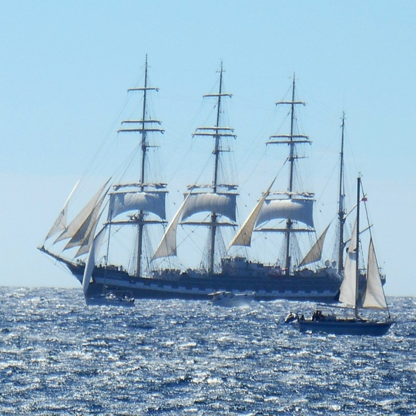 Grands Voiliers - Tall Ships