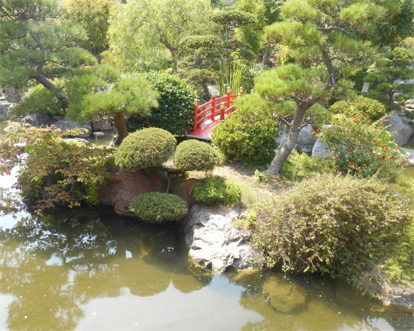 vue du Jardin japonais de Monaco