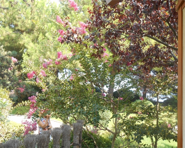 vue du Jardin japonais de Monaco  