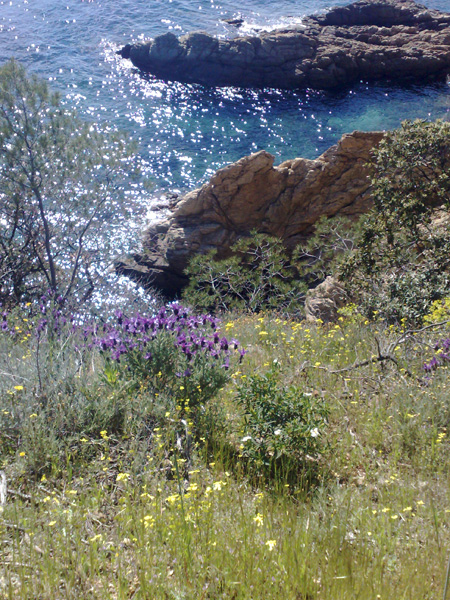 Près de Toulon.