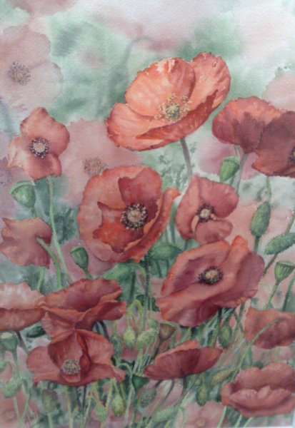 Tableau de Anik , les coquelicots