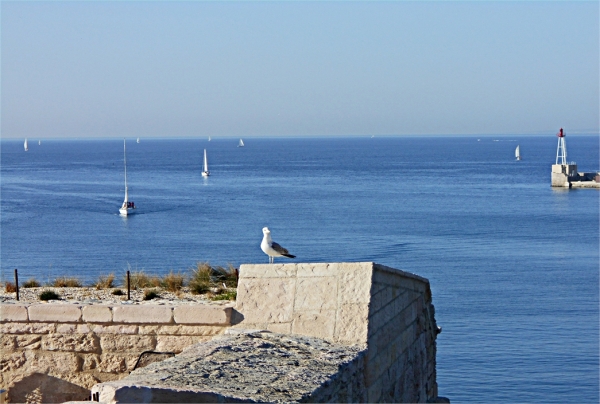 Grands Trophées de la Méditerranée des Styles et des Arts MARSEILLE 2019 - (EDMC) 
