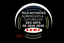Trophées Awards des Arts Visuels 2020 30/06/2020 