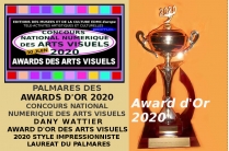 Award d'Or des Arts Visuels 2020. Dany Wattier Concours National Numérique des Arts Visuels 2020  