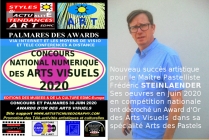 Frédéric Steinlaender, Award d'Or des Arts Visuels 2020 lors du Concours National Numérique des Arts Visuels 30 Juin 2020  