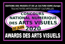 AWARDS D'OR Concours National Numérique des Arts Visuels 2020  