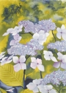 FABRE PRODUIT UN ART ORIGINAL, PARMI LES ESPACES AQUATIQUES DU JARDIN JAPONAIS DE MONACO