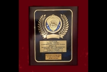 Plaquette d'Honneur avec Médaille Talent des Arts d'Aujourd'hui - Artiste d'Excellence 2024, attribuée par le Comité du Jury à l'issue des sélections artistiques à l'artiste-peintre contemporaine abstraite, CLOTILDE, Lauréate du Palmarès