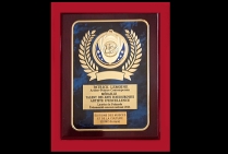 La Plaquette d'Honneur avec Médaille de Talent des Arts d'Aujourd'hui - Artiste d'Excellence 2024 a  distingué le peintre contemporain Patrick LEMOINE,  Lauréat du Palmarès, lors de l’Événementiel concours national 2024