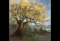 ''Le Vieux Chêne de Carmignan'', huile sur toile, (50x50cm) Rita CAU peint le paysage avec amour et respect. Cette toile rend honneur à la Nature. Ses pinceaux préservent l'image et la vie du Vieux Chêne, dans son tableau elle le rend éternel.  