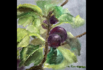 Avec ''Les Figues'', huile sur toile, (30x30cm) Rita CAU, lauréate du Palmarès nous montre la beauté du fruit vivant dans la nature, illustre le cycle des saisons. Cette oeuvre détaille sa touche, son style qui déborde de subtilité, d'expertise picturale.