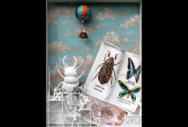 ''Ils Volent !'' 40x50cm. Dan MONTELET, par son Œuvre (*), crée un monde fantastique et fonde un nouvel imaginaire dans le Surréalisme. Par ses univers miniaturisés il a élargi et a fait progresser l'expression artistique du rêve. Lauréat du Palmarès 2025