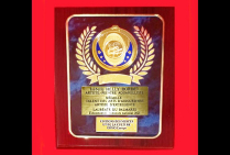 Sélectionnée nationale lauréate du Palmarès, le Comité du Jury a attribué à Isabelle HELLY DORDET la Plaquette d'Honneur avec Médaille de Talent des Arts d’Aujourd’hui Artiste d'Excellence 2025 pour son style et talent d'aquarelliste.