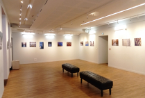 Lors de l'exposition du peintre Gérard SUISSIA ses amis photographes ont été invités à présenter des photos sur le thème de l'urbain.