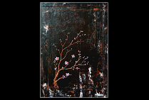 'Fleurs de Sakura'', huile sur toile,50x73cm, Christian BIARD et son œuvre florale poétique nous rappelle la passion de Claude MONET pour les fleurs, pour la délicatesse inspirante de sa collection d'estampes japonaises qu'il aimait tant. 