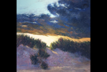 ''Après l'Orage'', acrylique sur toile, 100 x 100 cm, Marie-Pierre MAURER réussit à peindre la réalité sensible du paysage, elle en traduit l'aura. Son talent pictural hisse le figuratif jusqu'à un summum d'ambiance, suscitant un florilège de sentiments.