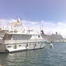 Sur la Cote d Azur, une vue portuaire de Toulon. Une rade avec un flux touristique toute l'année (plus d'une centaine d'escales de paquebots de croisière) 